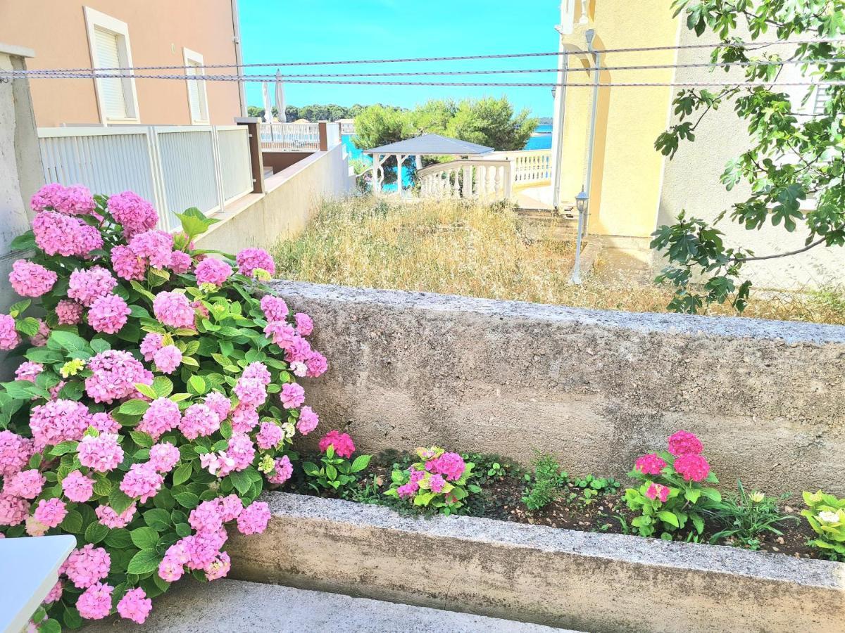 Apartment Ivana Brodarica  Ngoại thất bức ảnh