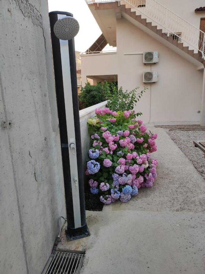 Apartment Ivana Brodarica  Ngoại thất bức ảnh